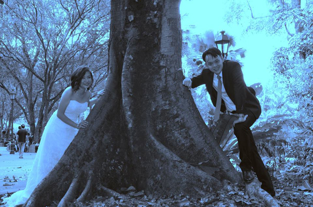Feeling blue? Some of the images had odd colour filters. Photo / Jaclyn Ying/Facebook